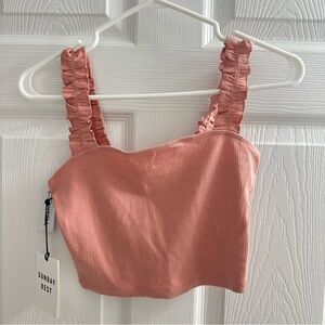 Brand new Aritzia (Sunday best) crop top
